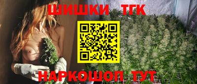 крисы Кунгур