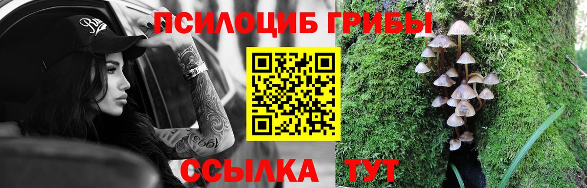 Галлюциногенные грибы мухоморы  наркотики  Вход с VPN  Избербаш  Галлюциногенные грибы MAGIC MUSHROOMS 
